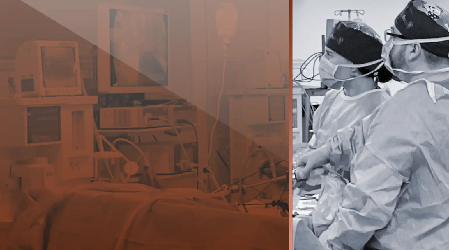 esavs_focus_on_mini_invasive_surgery_1